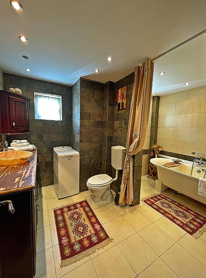 Antik Apartment Sibiu Bagian luar foto