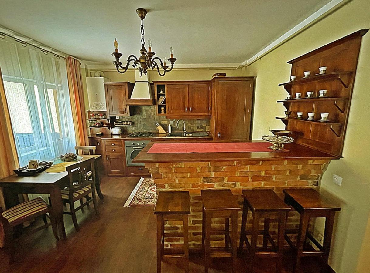 Antik Apartment Sibiu Bagian luar foto